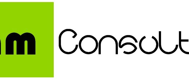 Team Consulting S.r.l.
